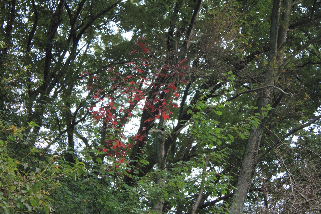 宮沢湖30