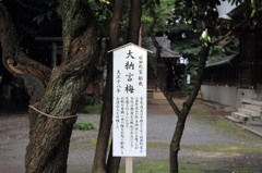 北野天神社5
