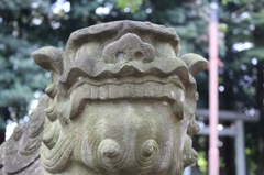 北野天神社10
