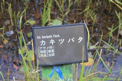 秩父遠征6
