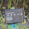 秩父遠征6