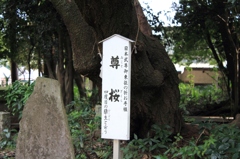 北野天神社8