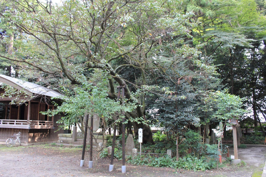 北野天神社7