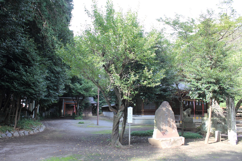 北野天神社4
