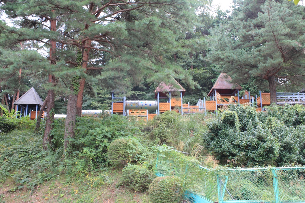 宮沢湖14