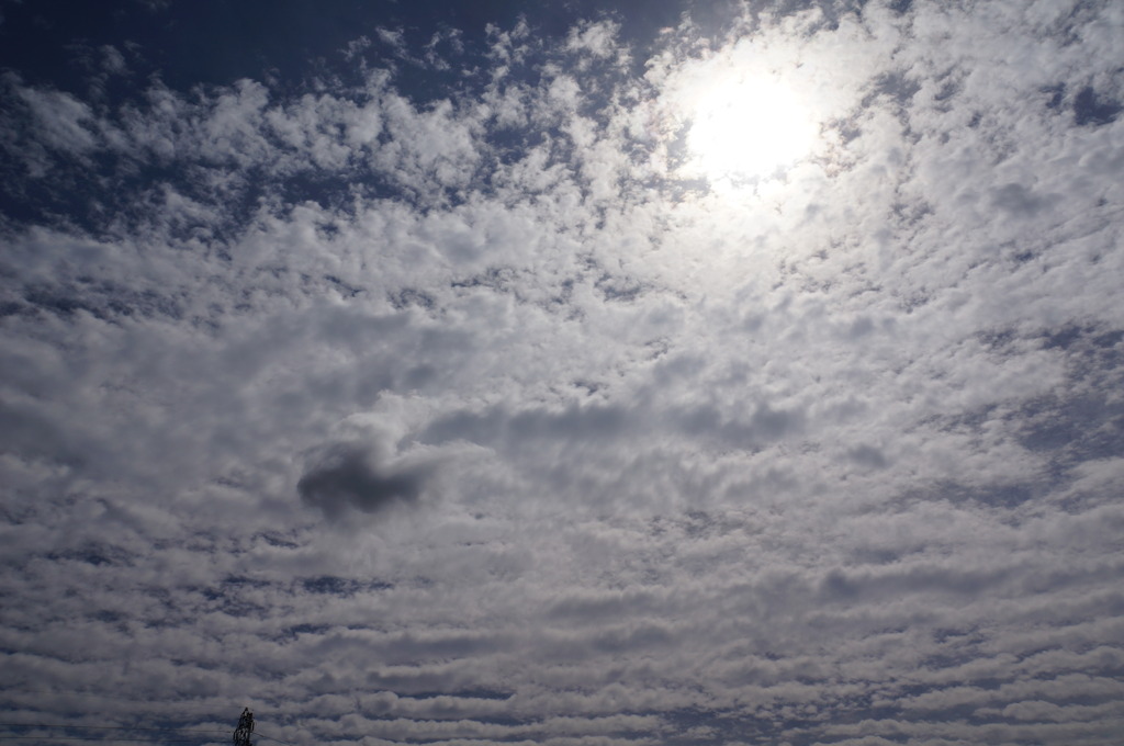 NEX-5 s451 002