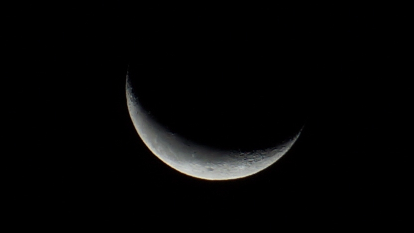 NEX-52981 069