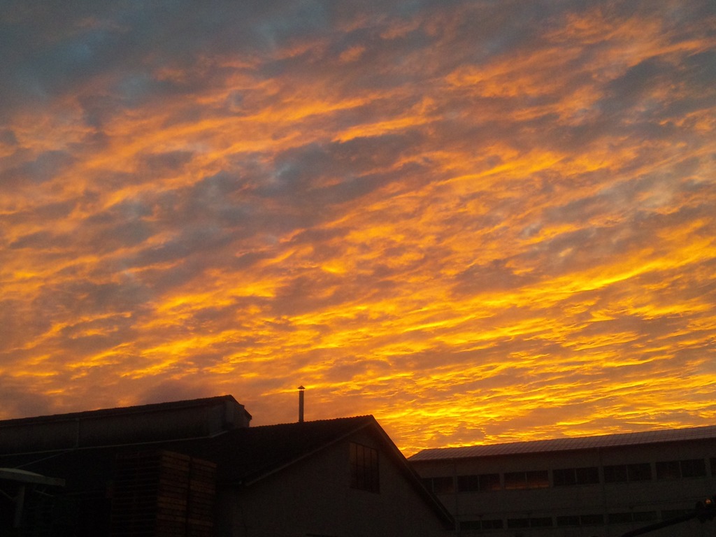 SH01B photo2 235