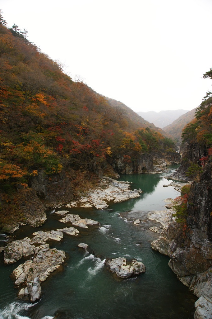 紅葉の峡谷