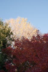 DSC00330_edited-1