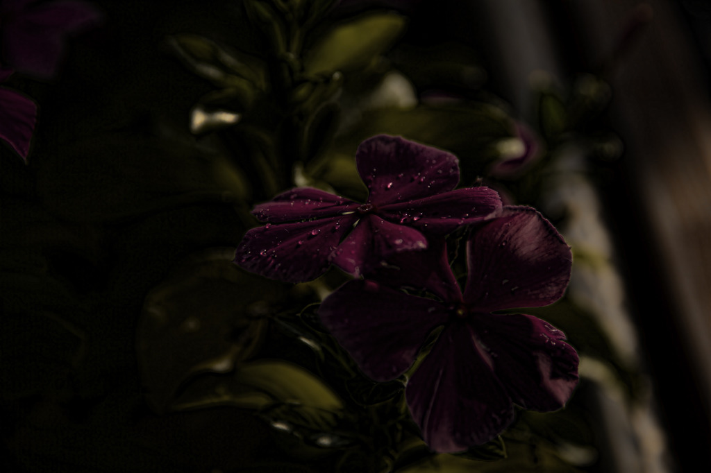At dawn...