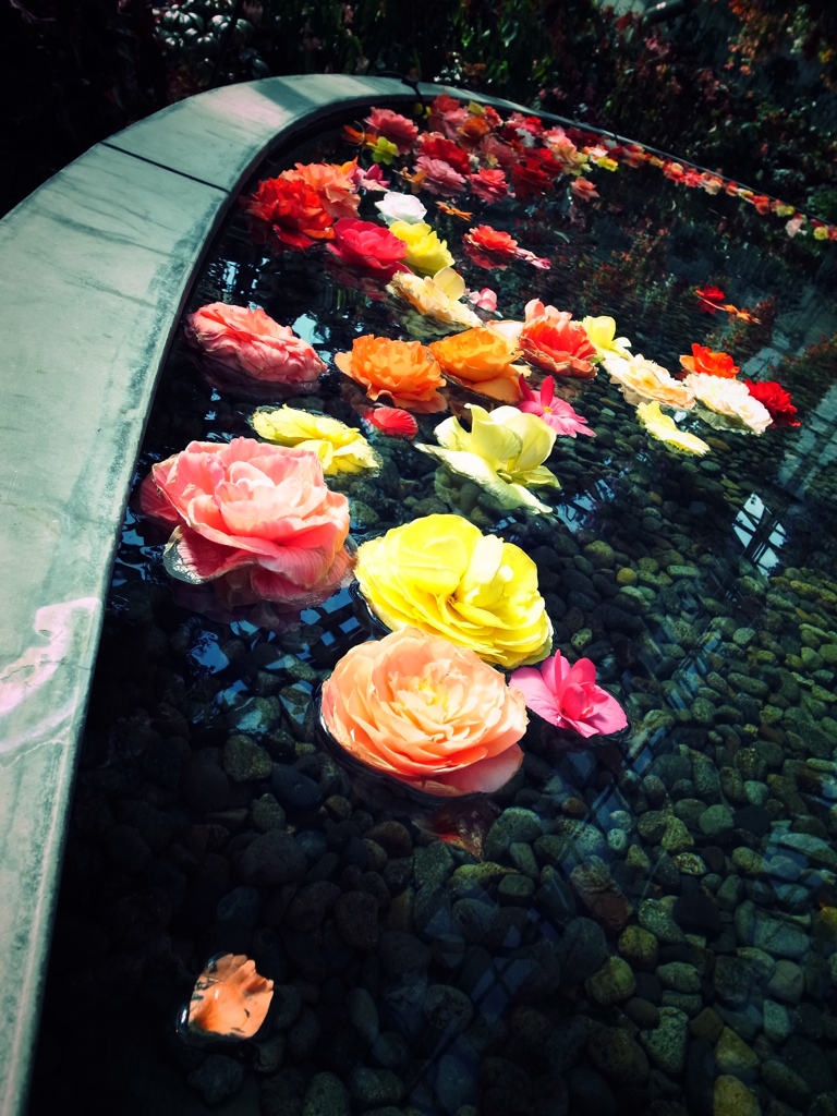 Float'n Flow.
