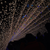 Lights.