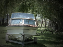 Boat in farm