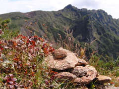 お山の秋