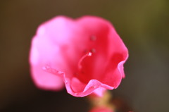 20120502-001