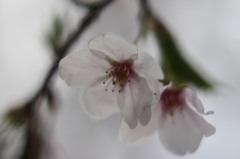 20120412-02