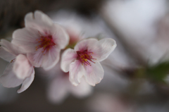 20120402-01