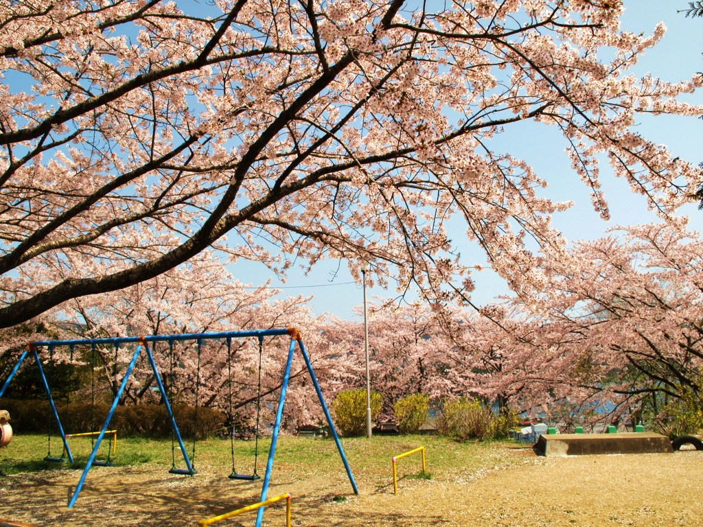 ここにあるもの