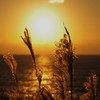 秋と夕日