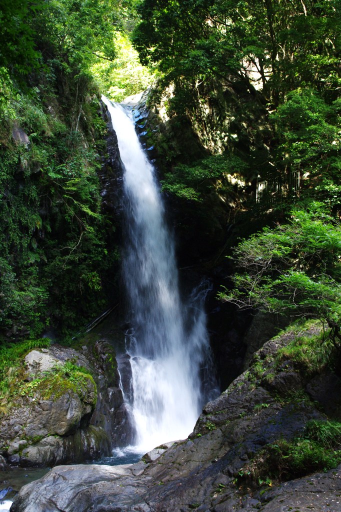 瀧