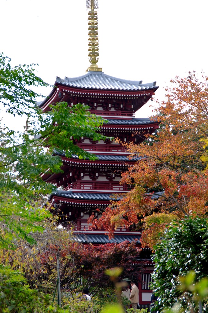 本土寺五重塔