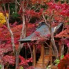 守るように