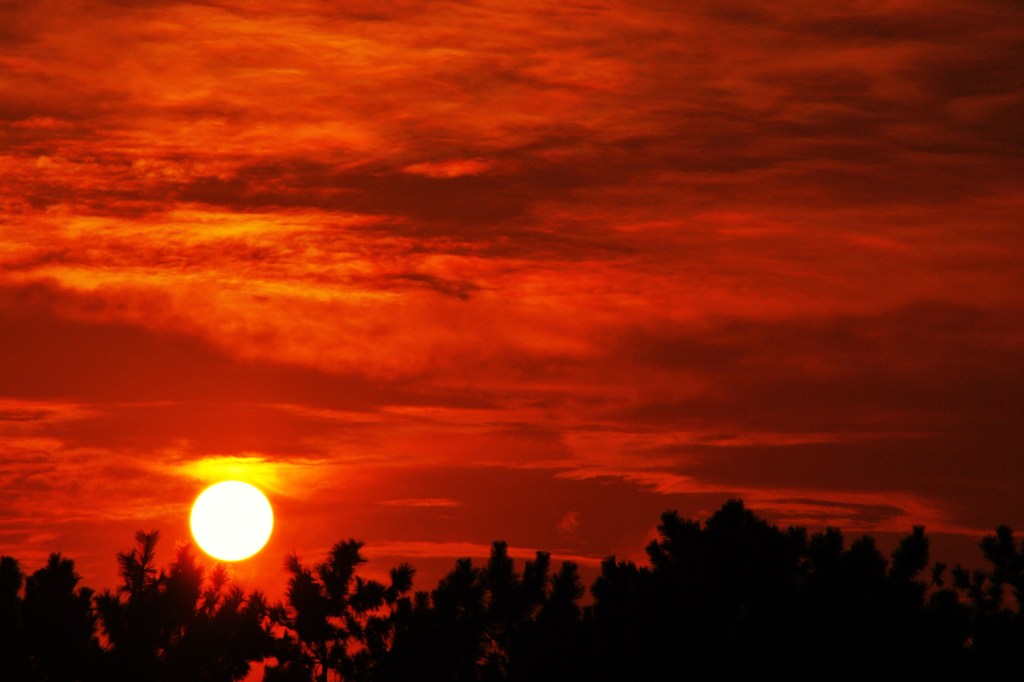 夕日