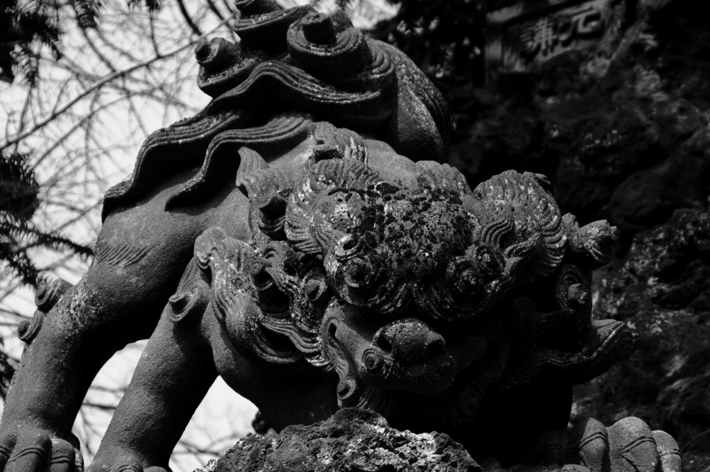獅子の躍動