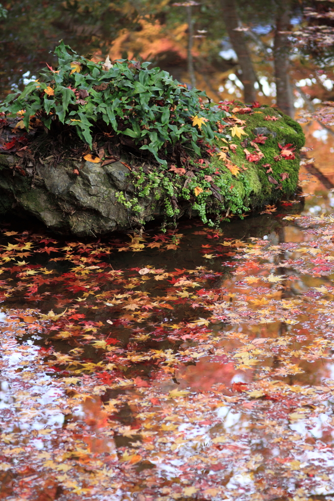 常寂光寺　＃８