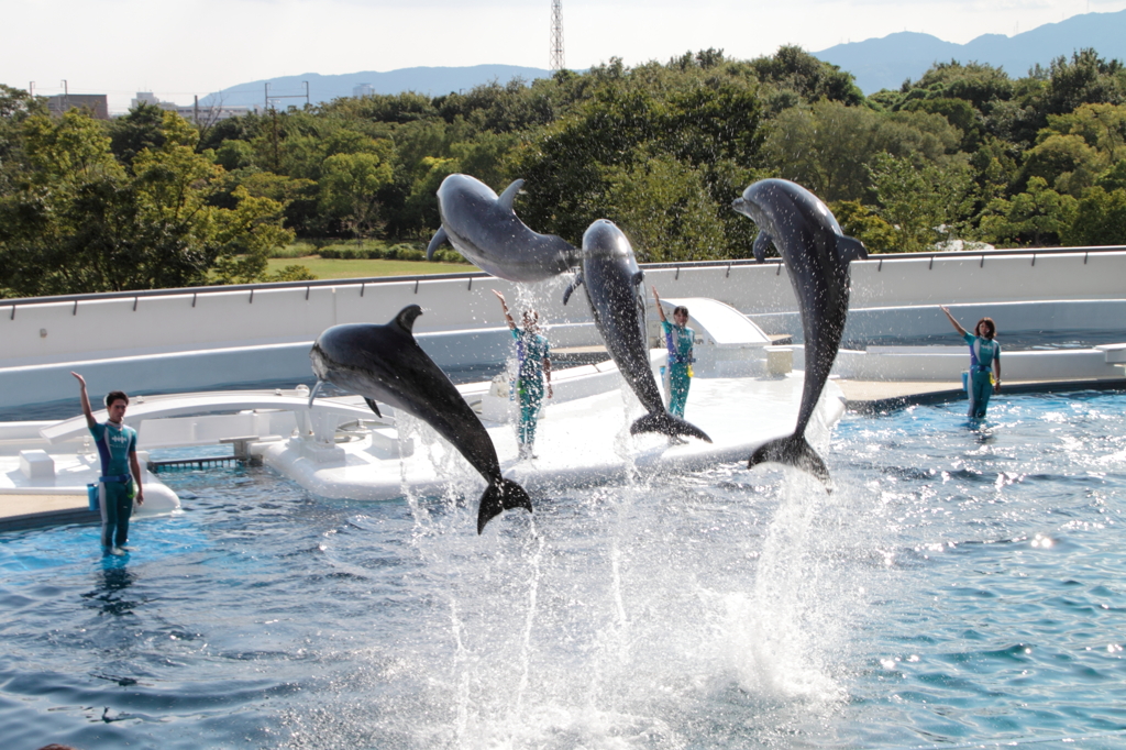JUMP!!!