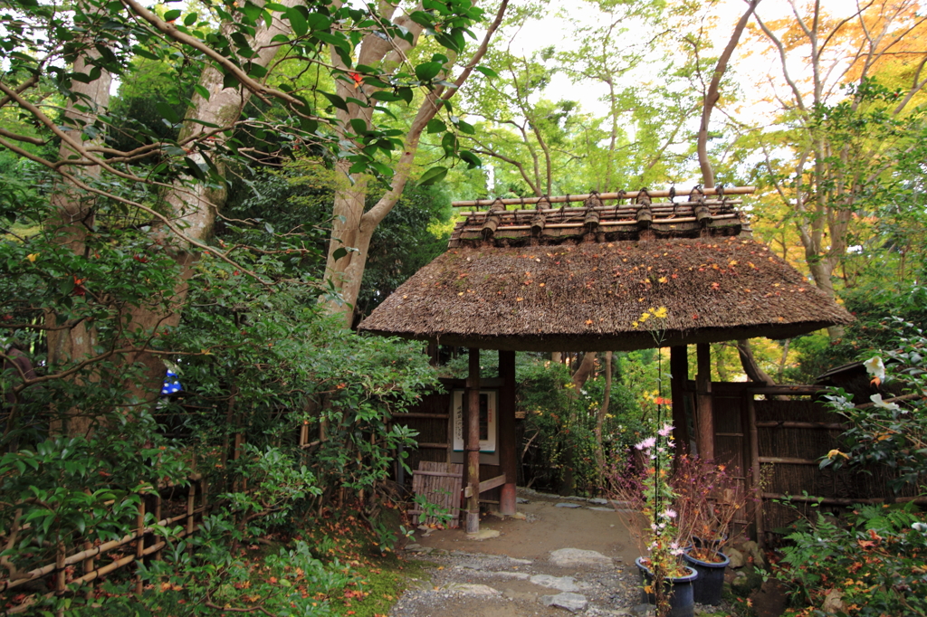 祇王寺　＃２