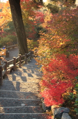 ゆく道来る道