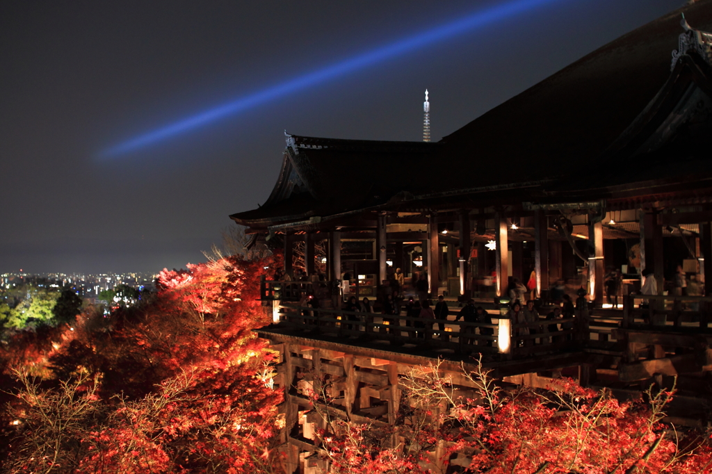 迫り来る紅葉