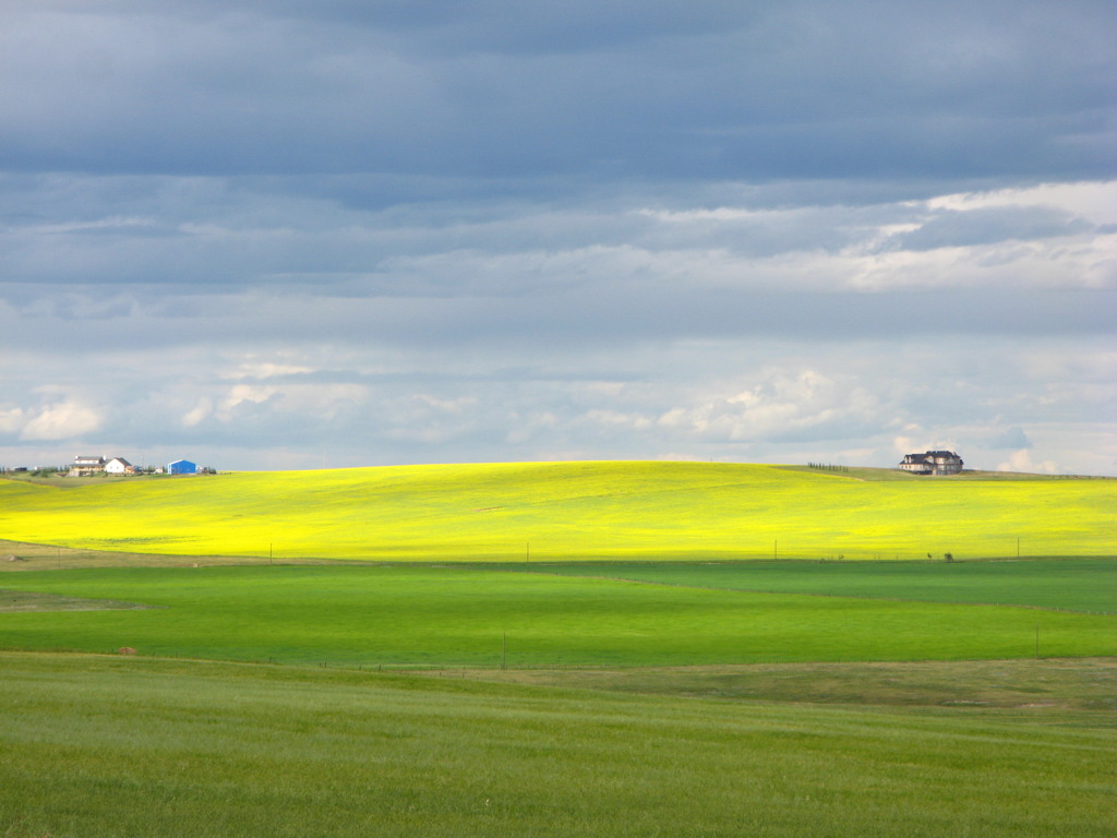 Calgary