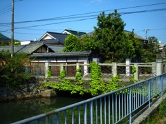 変わらないまま