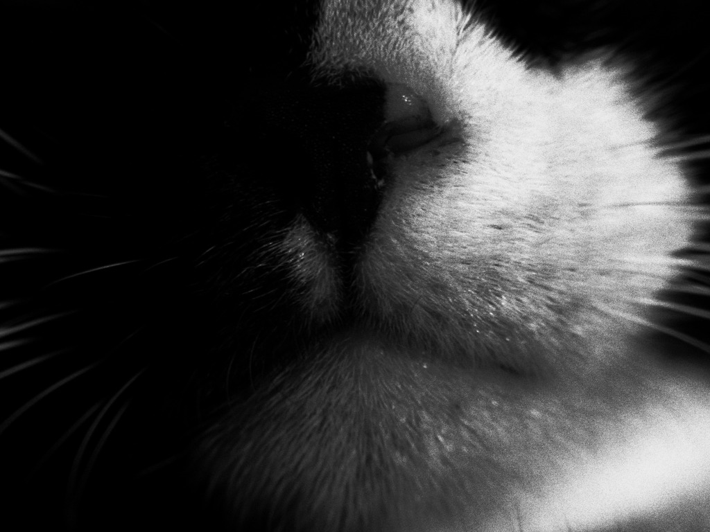 black & white