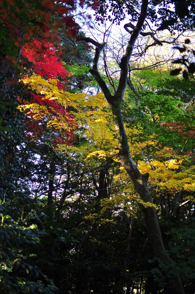 DSC_0023