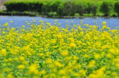 写真 12-05-07 21 01 49