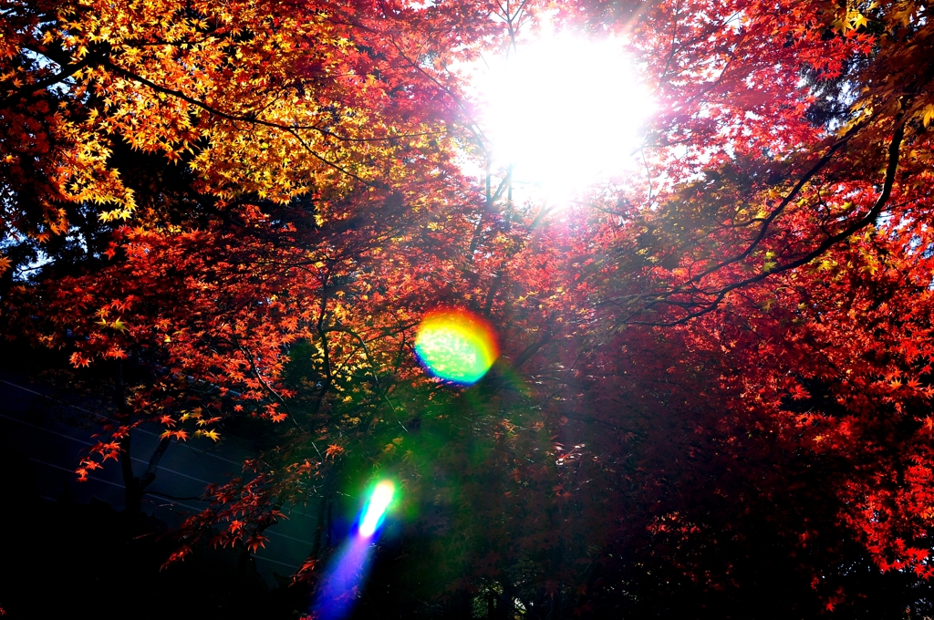 DSC_0054
