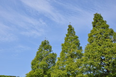 DSC_0086