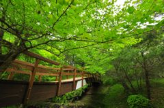 写真 12-04-29 15 50 20