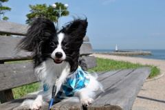 海辺の公園