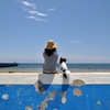 海と空とアンリ３