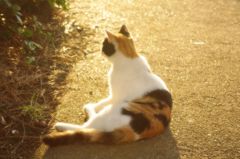 IMGP0394‐