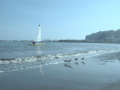 海岸散歩２