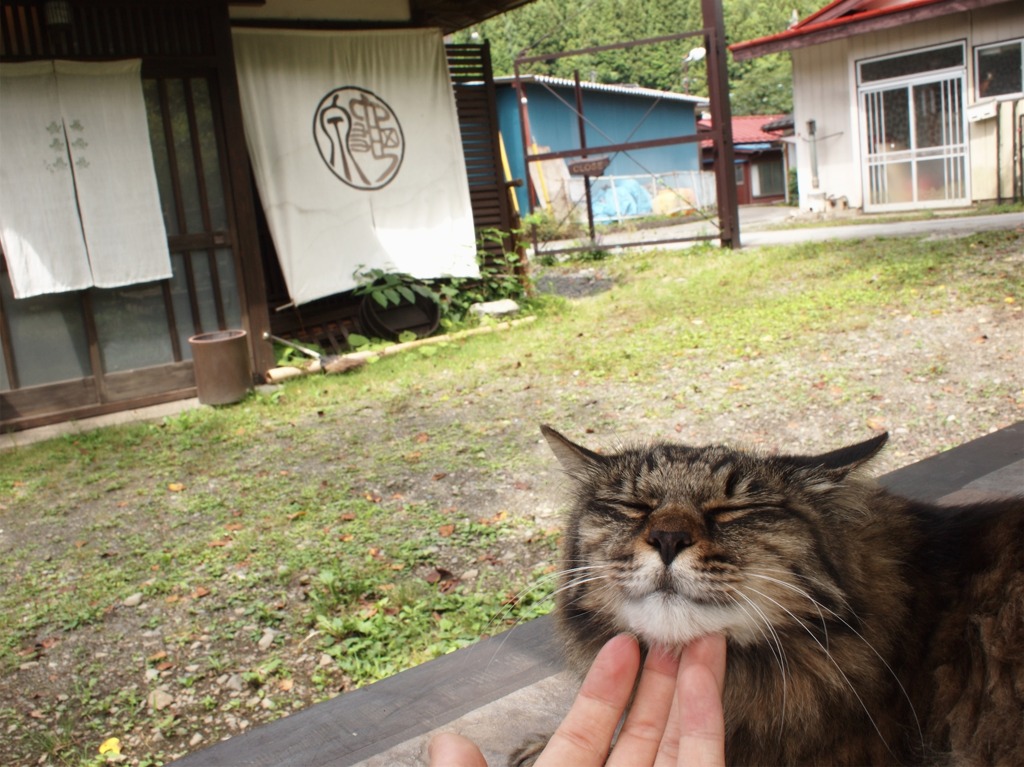 いい気持ち♪