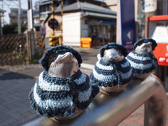 トリトリオ