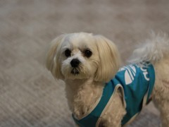 愛犬の親友♪
