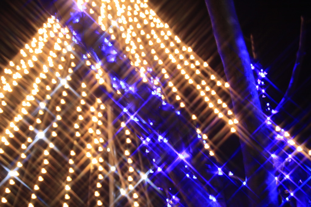 Xmasツリー